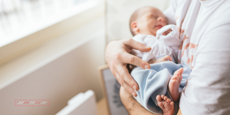 Seorehberi 2023 10 24T180858.343