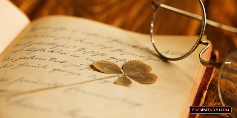 Divan Şiirinde Aruz Ölçüsü Nasıl Kullanılır