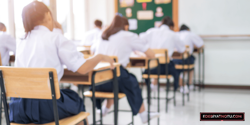 AYT Denemeleri Nasıl Çözülmeli