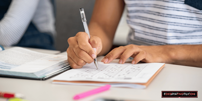 AYT Denemeleri Nasıl Çözülmeli?