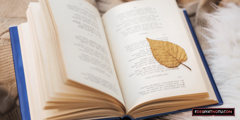 Halk Şiiri ve Divan Şiiri Arasındaki Farklar Nelerdir?