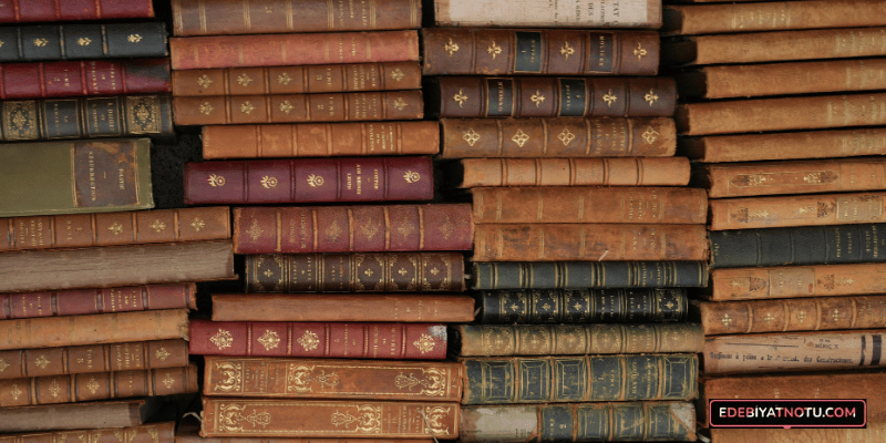 Klasik Eserlerin Eğitimdeki Önemi