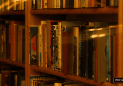 Edebiyat Eğitimi Toplumsal Bilinci Nasıl Geliştirir?