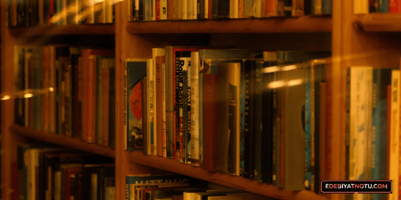 Edebiyat Eğitimi Toplumsal Bilinci Nasıl Geliştirir